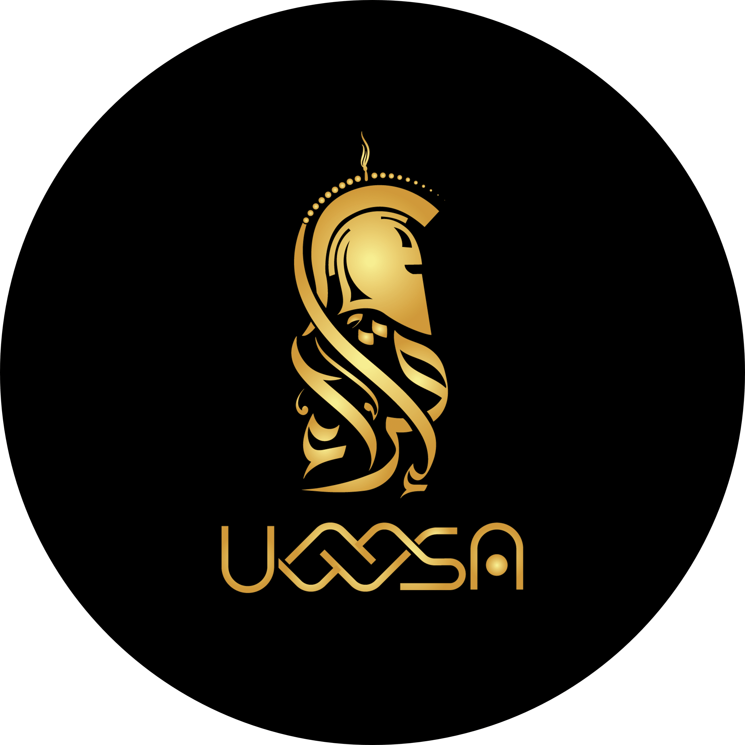 UWMSA Logo