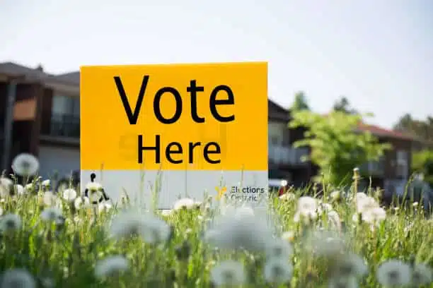 A yellow sign with the words “Vote Here” is staked into the ground amid tall grass and dandelions. The background features blurred residential houses and a bright, clear sky. A yellow sign with "Vote Here" written in black is placed in a grassy area with dandelions, indicating a polling station.