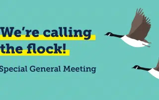 Illustration of two flying geese with the text "We’re calling the flock! May Special General Meeting" on a teal background.