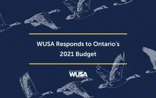 A graphic with flying geese and text reading, "WUSA Responds to the Ontario 2021 Budget" by Waterloo Undergraduate Student Association.