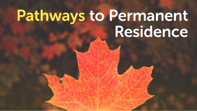 A vibrant red maple leaf with a blurred background. The text “Pathways to Permanent Residence” is visible, with “Pathways” in yellow and the rest in white. Perfect for international students seeking their pathways to call Canada home permanently. The image shows a red maple leaf with the text "Pathways to Permanent Residence" set against a blurred background, highlighting opportunities for international students.