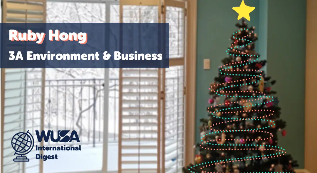 A decorated Christmas tree stands in a room with a large window showing a snowy outdoor scene. Text on the image reads, "Ruby Hong, 3A Environment & Business." The logo of WUSA International Digest is in the lower left corner.