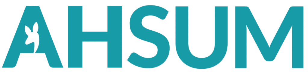 The image displays the word "AHSUM" in bold, blue capital letters. The silhouette of a small fairy with wings is incorporated into the left side of the letter 'A', making it a unique logo perfect for campus clubs or student societies.