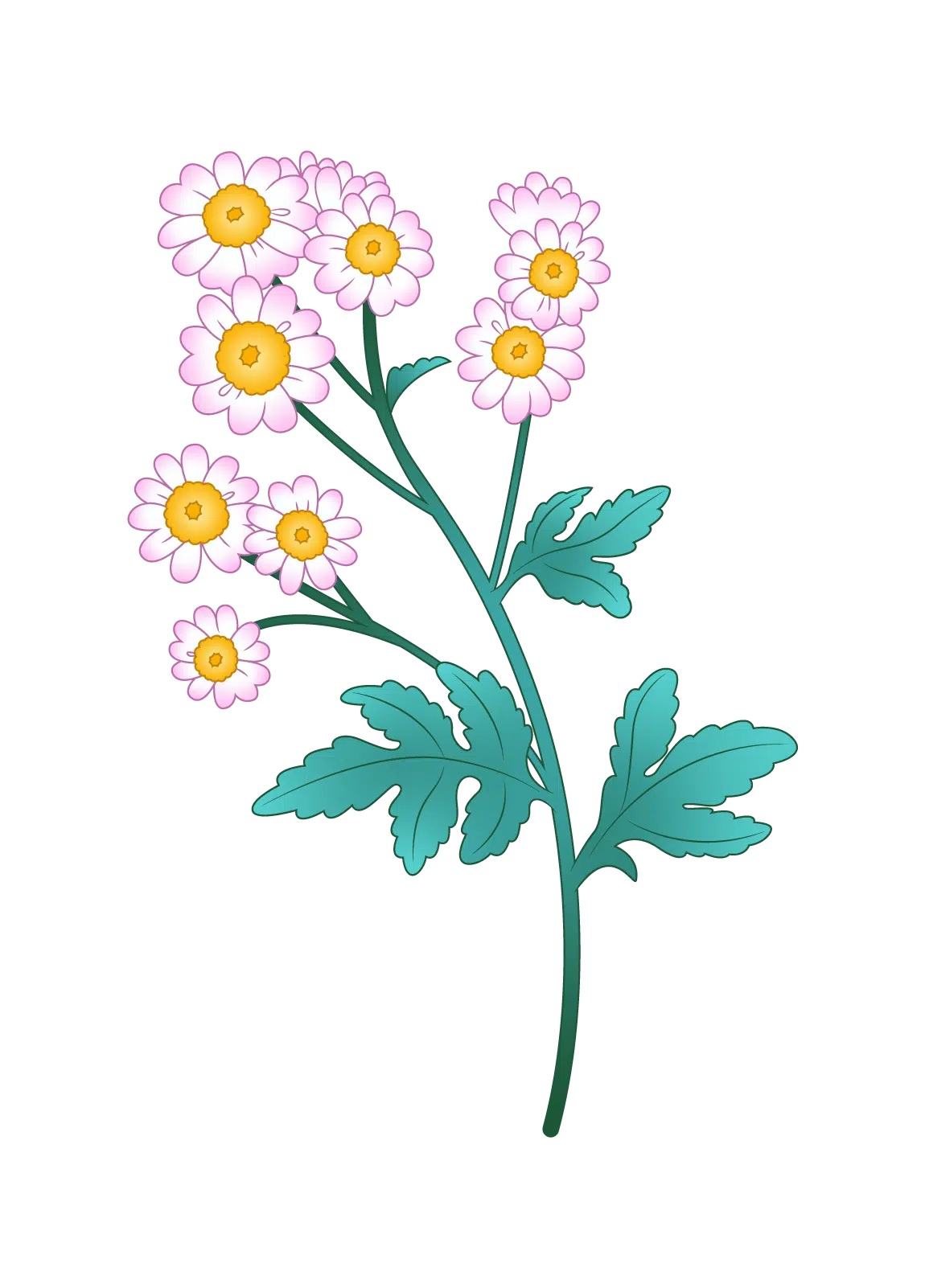 Illustration of a flowering plant with multiple light pink, daisy-like flowers with yellow centers, and lush green leaves. The plant stands upright with several blossoms and leaves branching out from the main stems. The background is solid green.