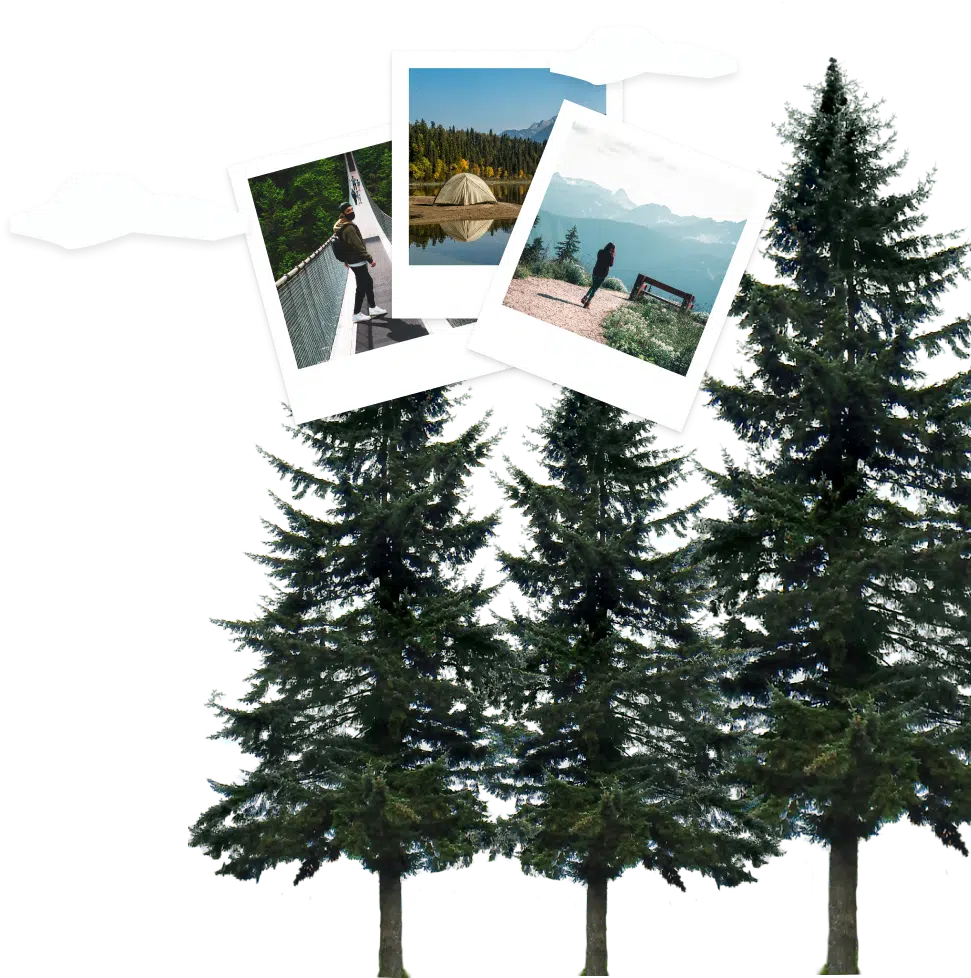 Three photos are arranged like Polaroids above a forest scene with three evergreen trees and clouds. The photos feature a person on a bridge, a tent by a lake, and a person looking at mountains. The background is transparent.