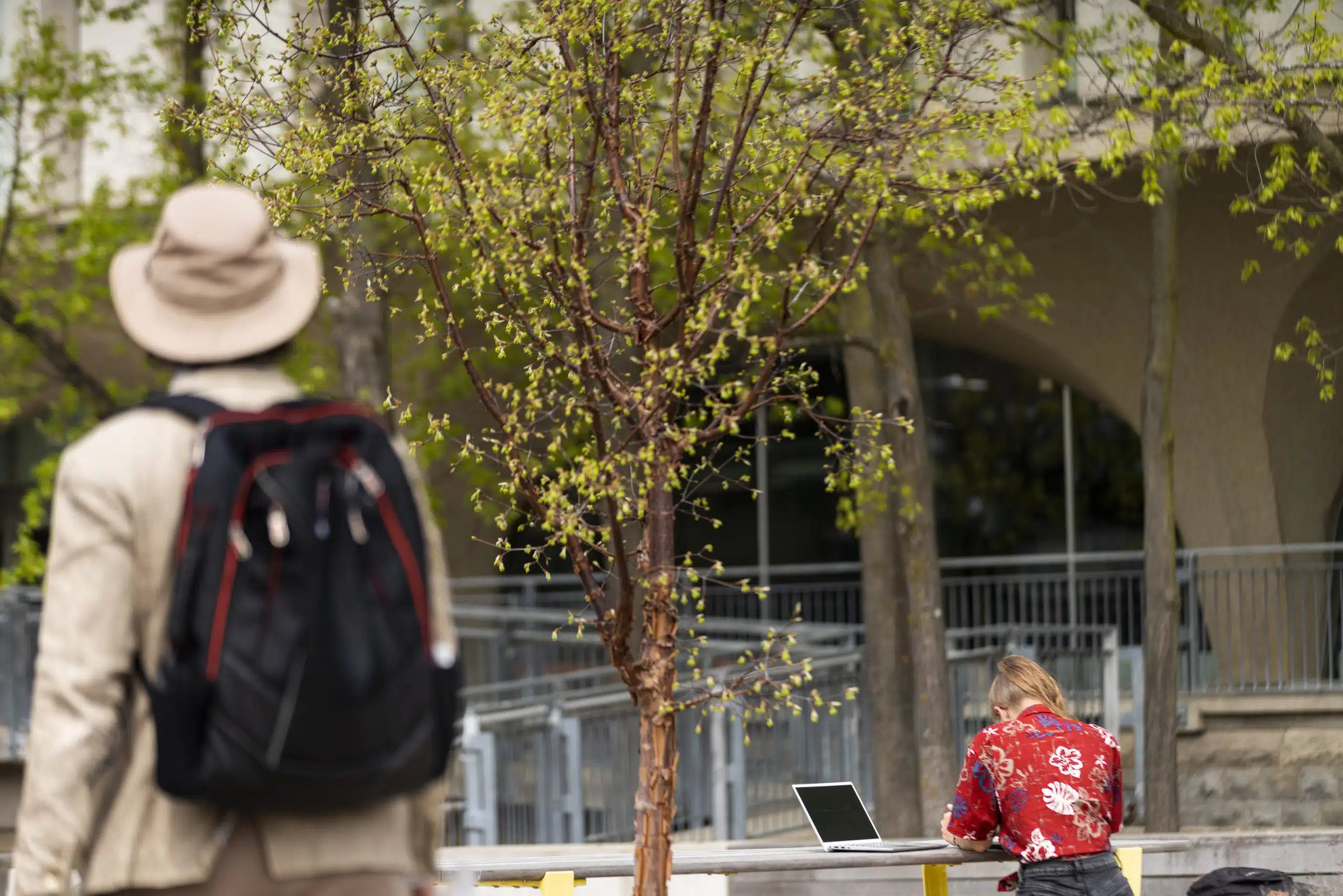 A person in a hat and backpack stands in the foreground, partially out of focus, while another person in a red floral shirt works on a laptop at an outdoor table under a tree, possibly analyzing new findings from a representative survey. The surrounding area has greenery and a building with large windows in the background.