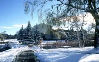 A snow-covered park with a clear path leading through it. Pine trees and barren trees are coated with snow, embodying the serene beauty of a Canadian winter. A large building stands in the background under a clear blue sky, while a bench near the path welcomes visitors to experience winter in Canada.