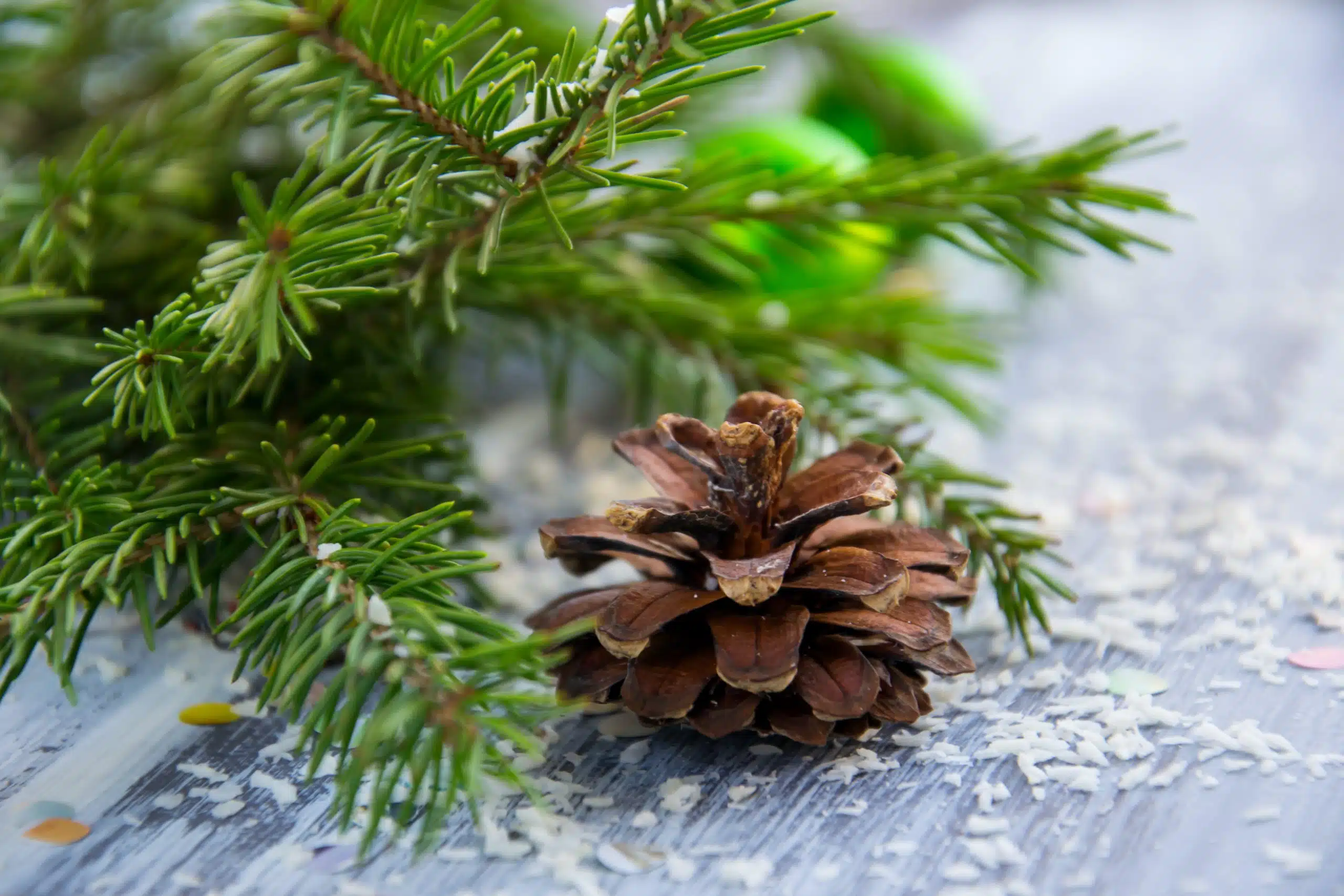 A close-up of a pinecone placed on a table scattered with small white flakes, possibly snow, evokes a festive, wintery atmosphere. Green pine tree branches and a few blurred holiday ornaments are visible in the background, reminiscent of the cozy decor seen in WUSA offices during holiday hours.