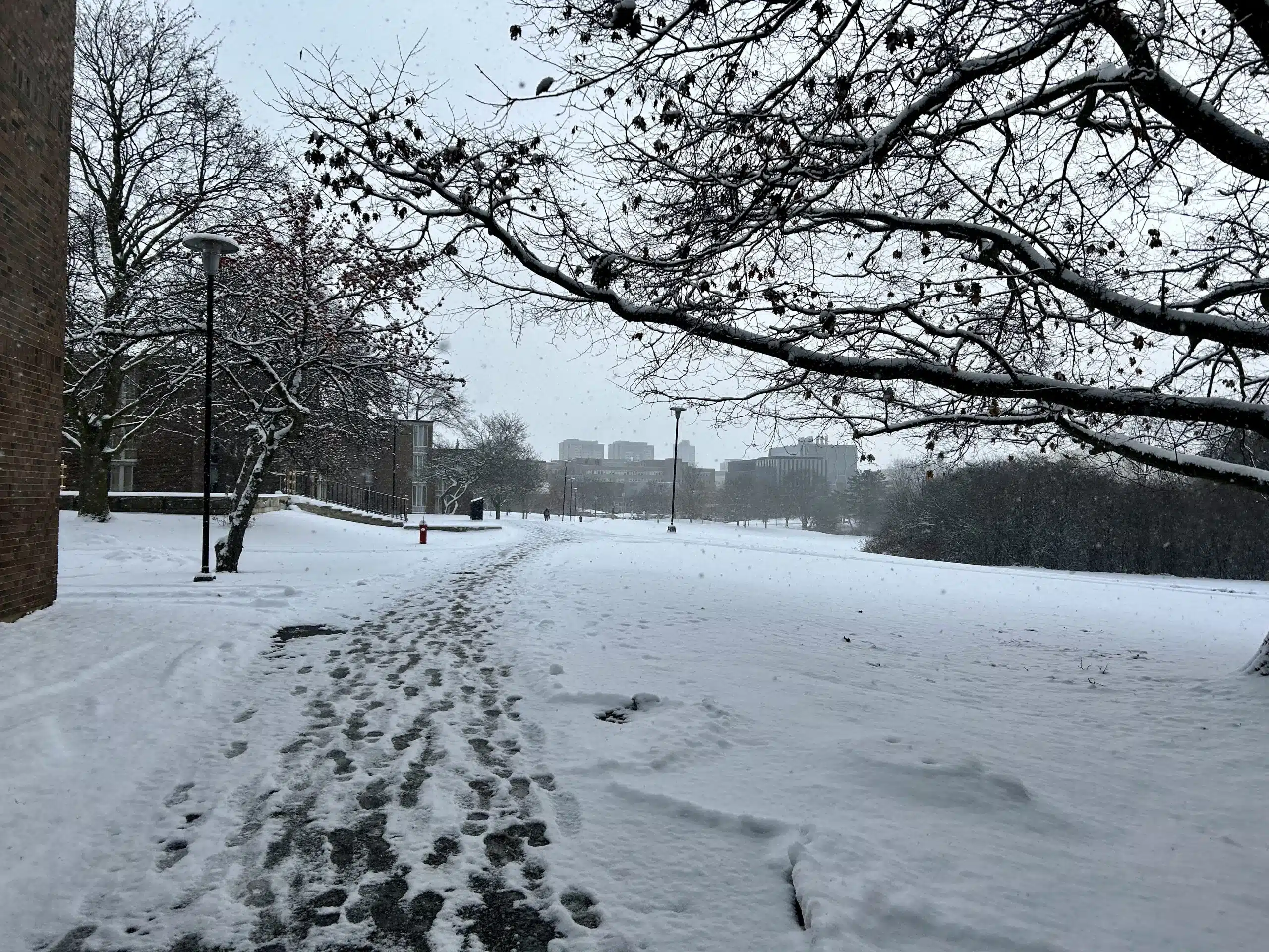 Winner Diya Renjan's photograph of a snowy walkway on campus.