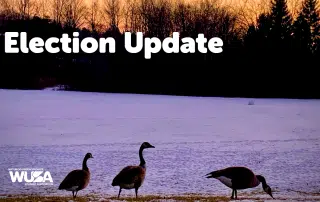 A snowy landscape at sunset with four geese walking in the foreground. The text "WUSA Election Dispute Update" is prominently displayed at the top left, and the "WUSA" logo is at the bottom left corner. Trees are visible in the background.