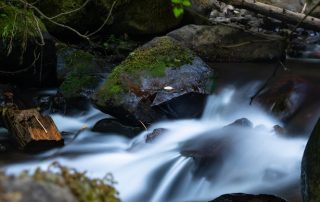 A serene forest stream flows over moss-covered rocks and fallen branches. The long exposure photography creates a smooth, silky effect on the water, enhancing the tranquil ambiance of the natural setting. Dappled sunlight filters through the dense foliage above.