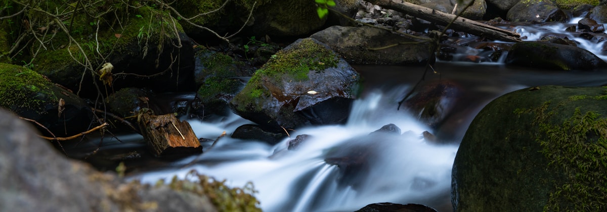 A serene forest stream flows over moss-covered rocks and fallen branches. The long exposure photography creates a smooth, silky effect on the water, enhancing the tranquil ambiance of the natural setting. Dappled sunlight filters through the dense foliage above.