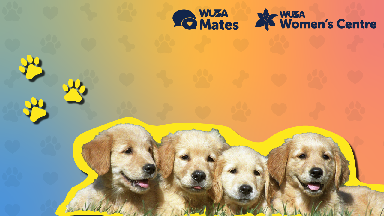 Four golden retriever puppies lying on grass with a paw print and heart background highlight the importance of Service Animal Training. WUSA Mates and Women's Centre logos are displayed proudly, reflecting their commitment to nurturing future service dogs.