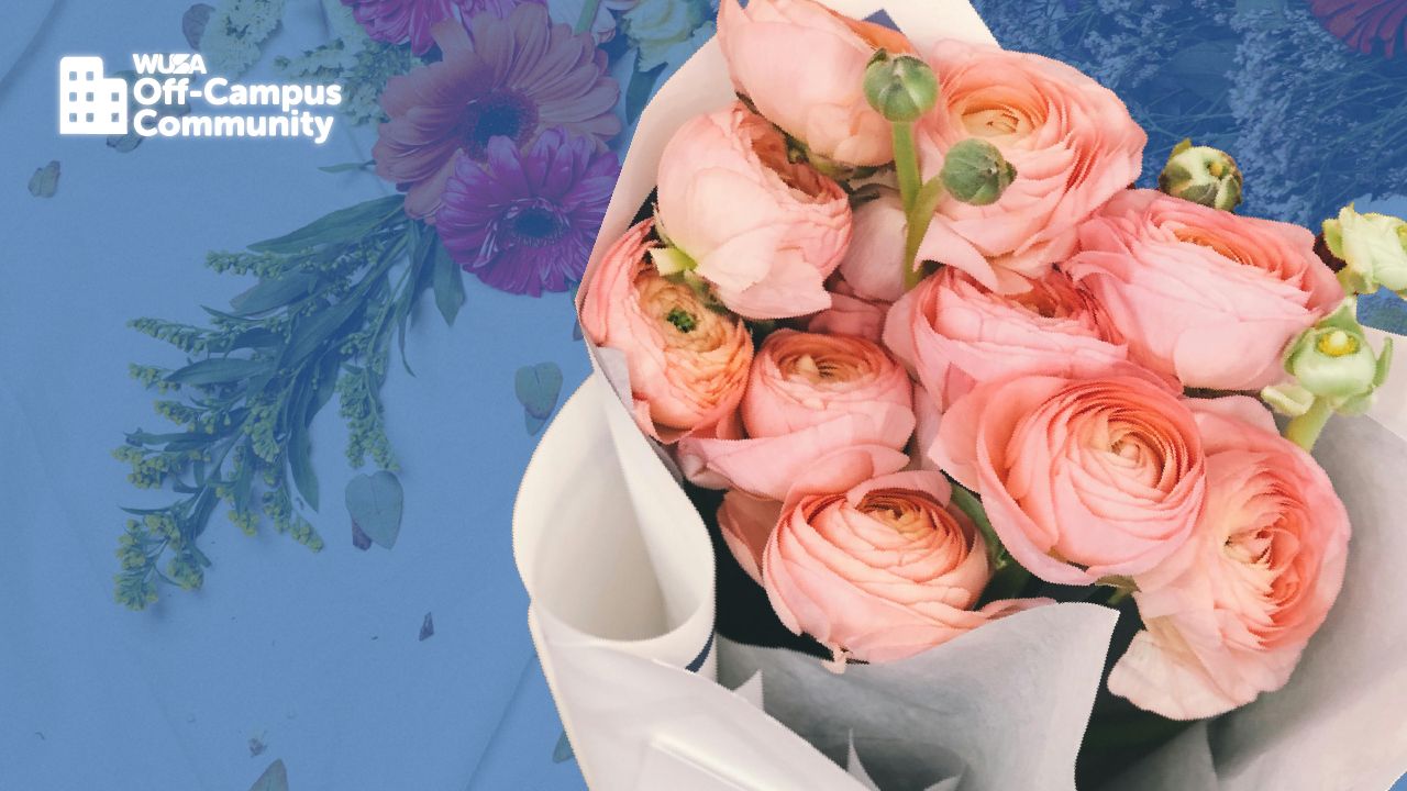 A Valentine’s Bouquet of pink roses elegantly arranged against a blue floral background, with the "WUSA Off-Campus Community" logo, embodies love in full bloom.