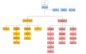 An organizational chart with two main branches and several colored boxes representing roles and departments, highlighting how student voice plays a key role in building community and leading change.