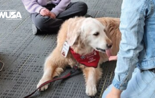 A golden retriever therapy dog wearing a red bandana lies on the floor near people sitting cross-legged.