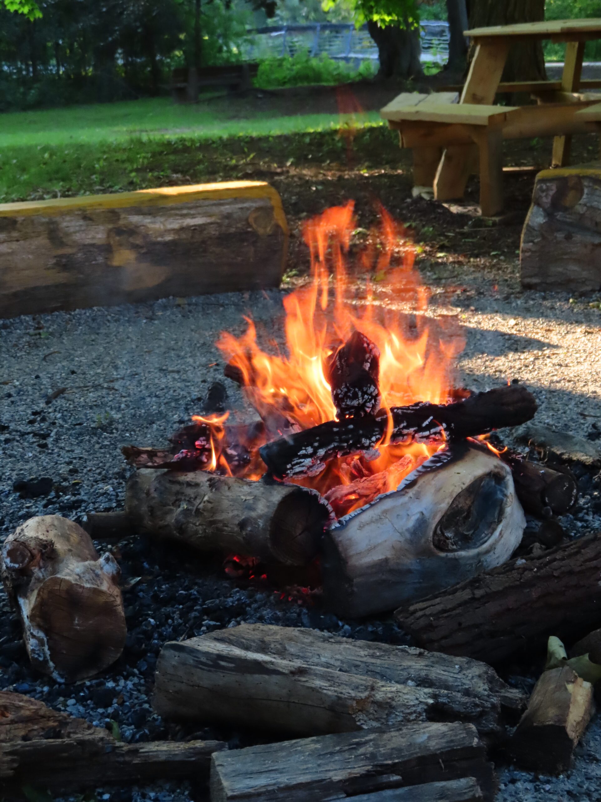 A campfire with burning logs surrounded by wooden benches and a picnic table in a grassy park, fostering inclusion and community for all.