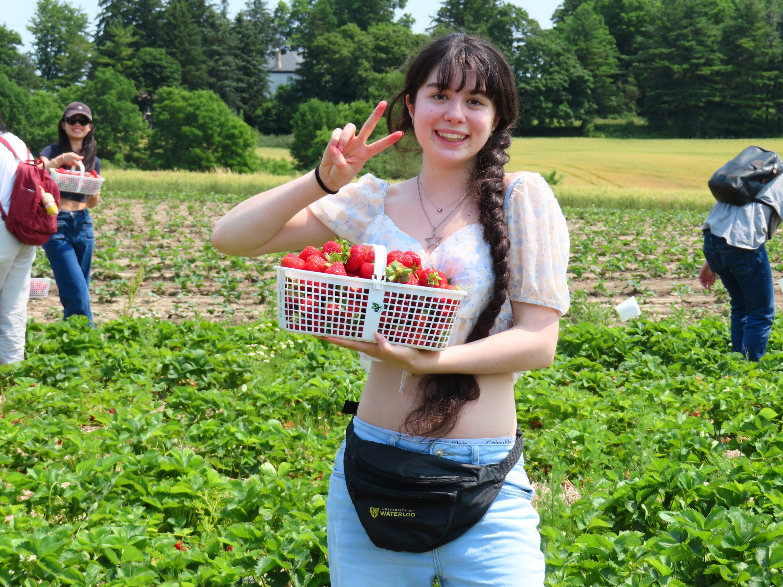 Young woman holding a basket of strawberries and smiling in a sunny field, making a peace sign—celebrating inclusion and the joy of togetherness.