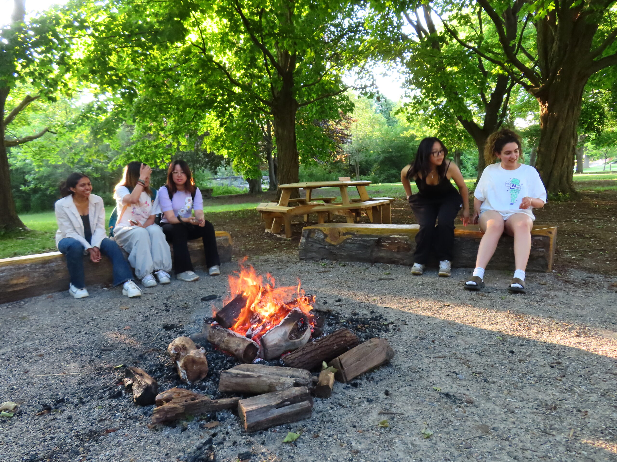 Five people sit on benches around a campfire in a park, reflecting inclusion and equity, with trees and picnic tables in the background.