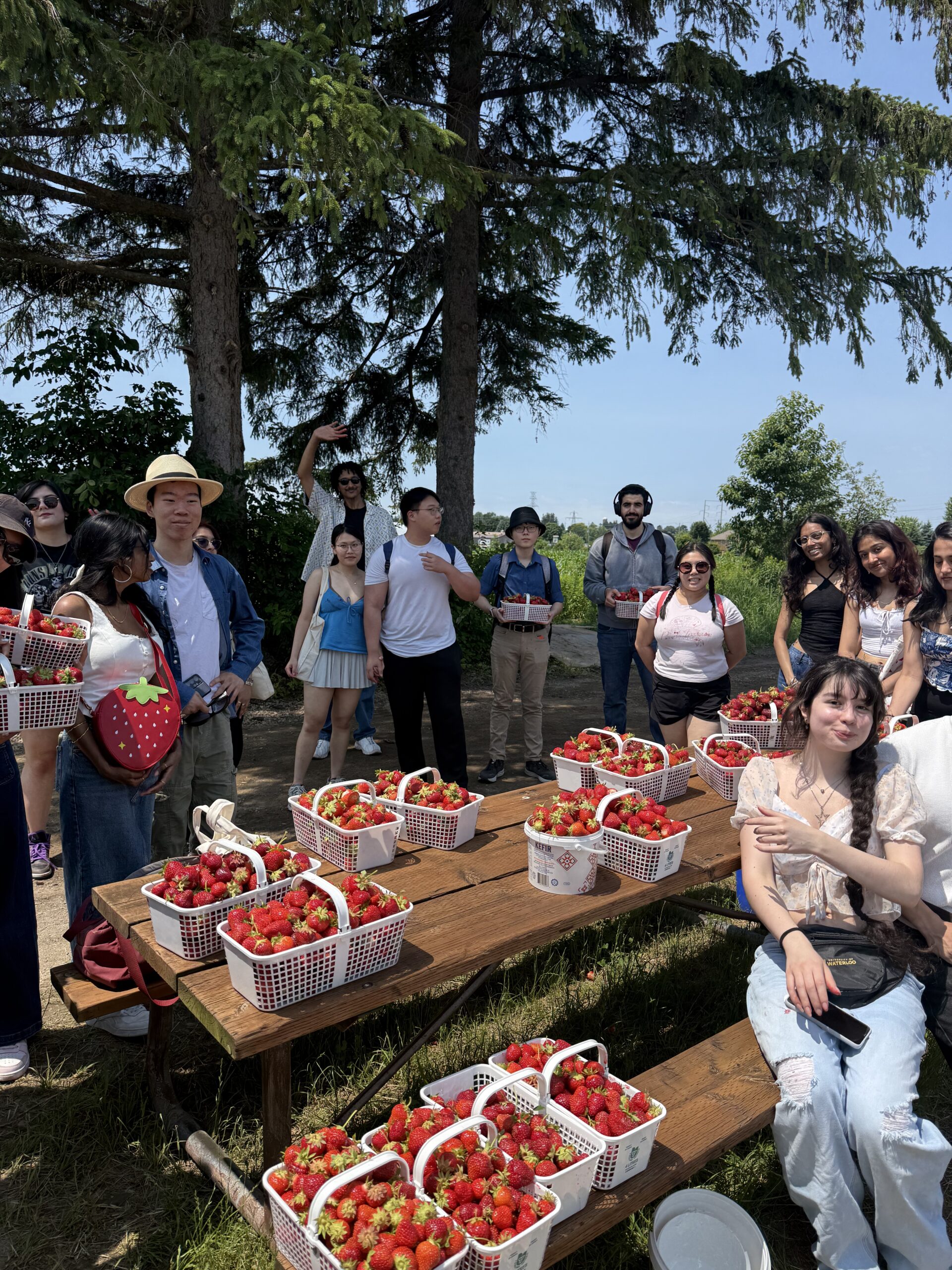A diverse group of people gather outdoors near picnic tables filled with baskets of freshly picked strawberries, celebrating inclusion and community togetherness.