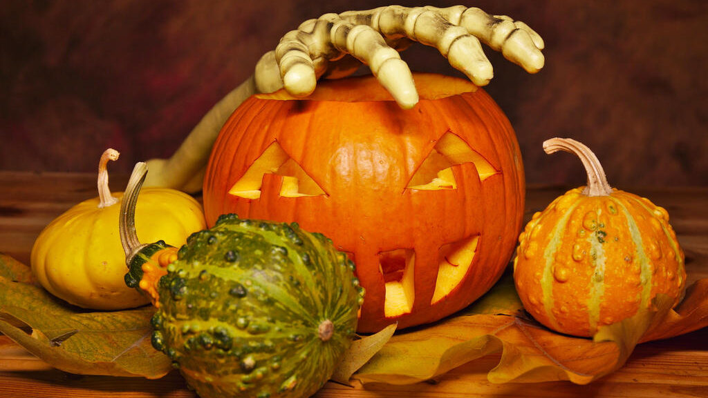 A jack-o’-lantern with a fake skeleton hand on top, surrounded by gourds and autumn leaves, highlights Pumpkin Carving fun at UW and inspires eco-friendly habits like Campus Compost.