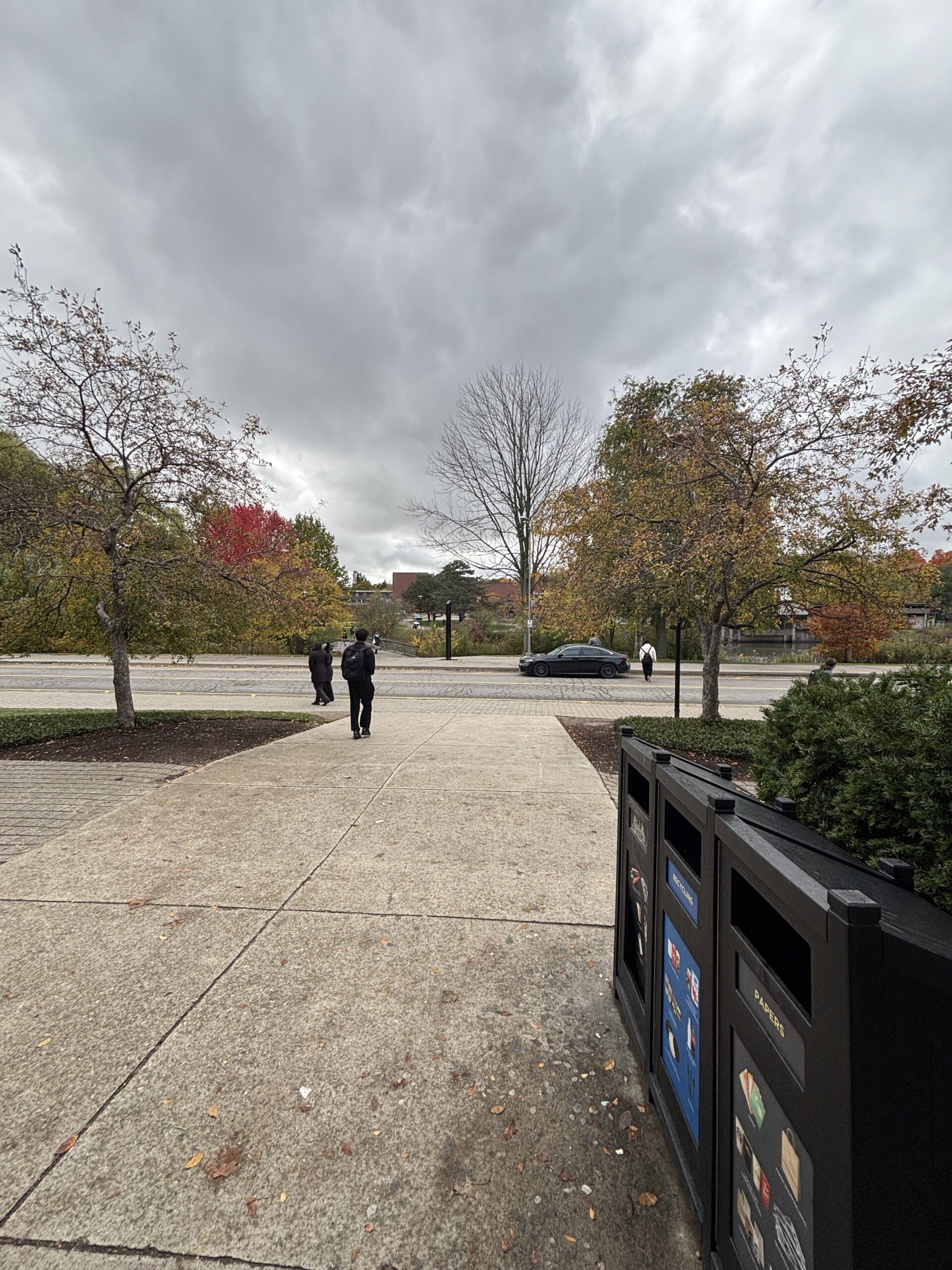 Overcast sky above a sidewalk in SLC with people walking, autumn trees, and recycling bins in the foreground.
