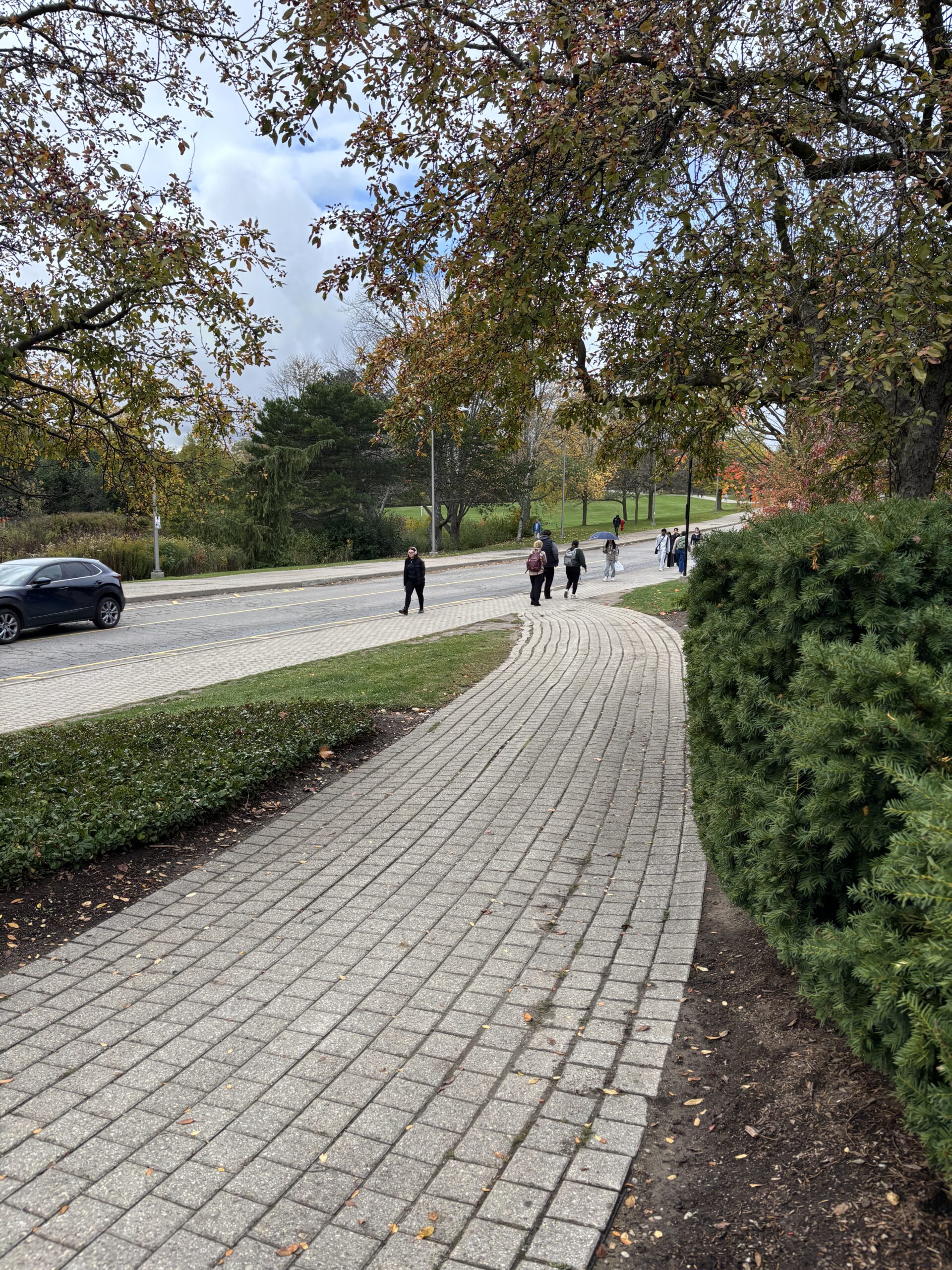 A curving brick walkway in SLC, shaded by trees with autumn leaves, welcomes people strolling near a street lined with a parked car.