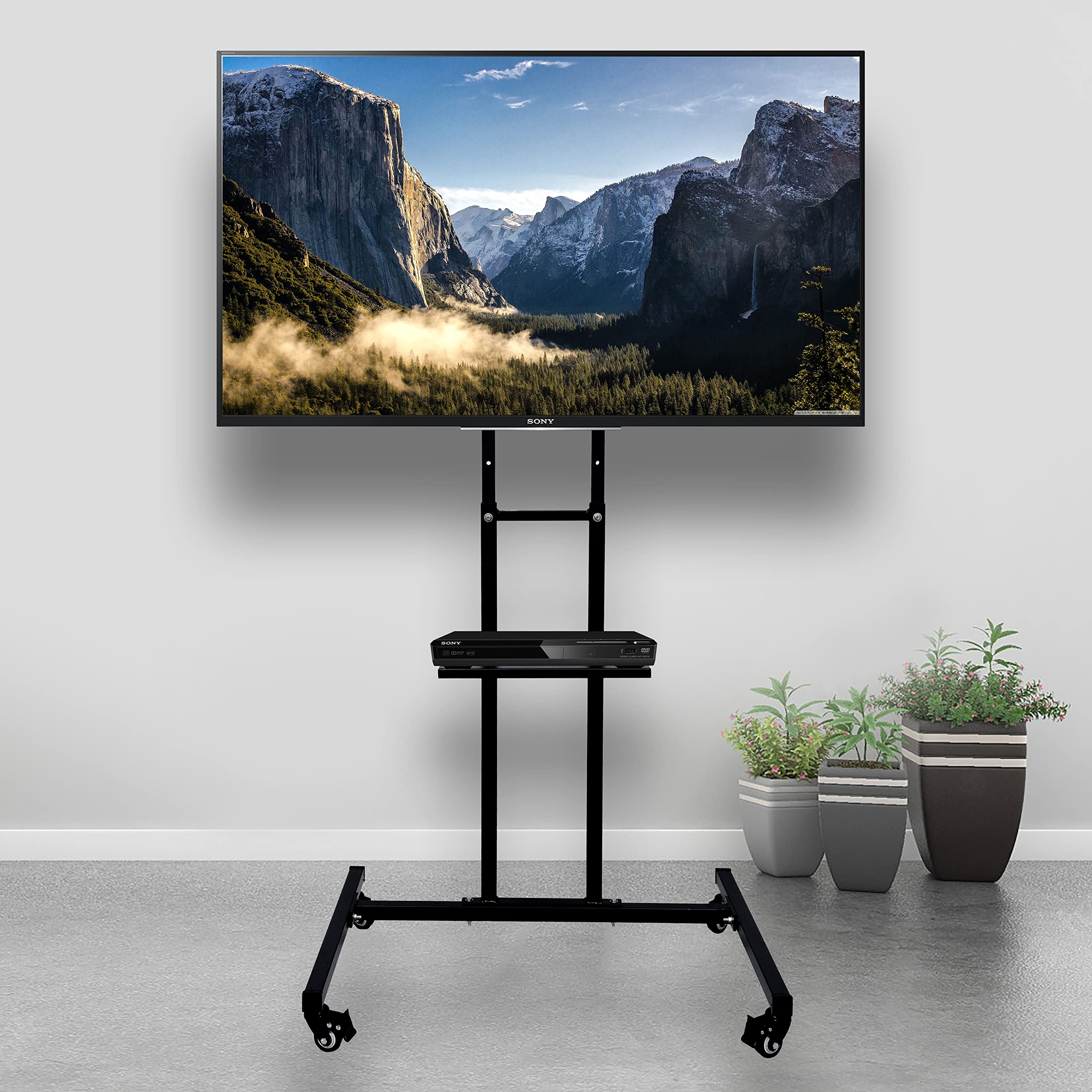 An AV Catalogue TV on a rolling stand displays a mountain scene, with potted plants arranged nearby.