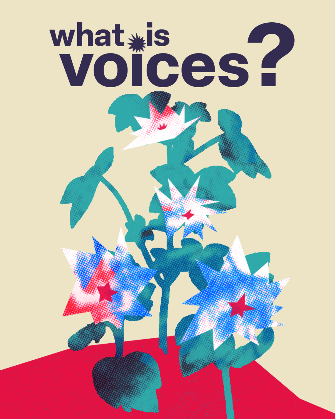 What Is Voices Grid 1 A stylized plant with star-shaped flowers under the text "what is voices?" in bold, dark letters—representing the spirit of a Women's Centre.