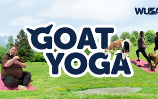 People doing yoga on mats outdoors with goats; text reads "GOAT YOGA" and "WUSA" in the top right corner.