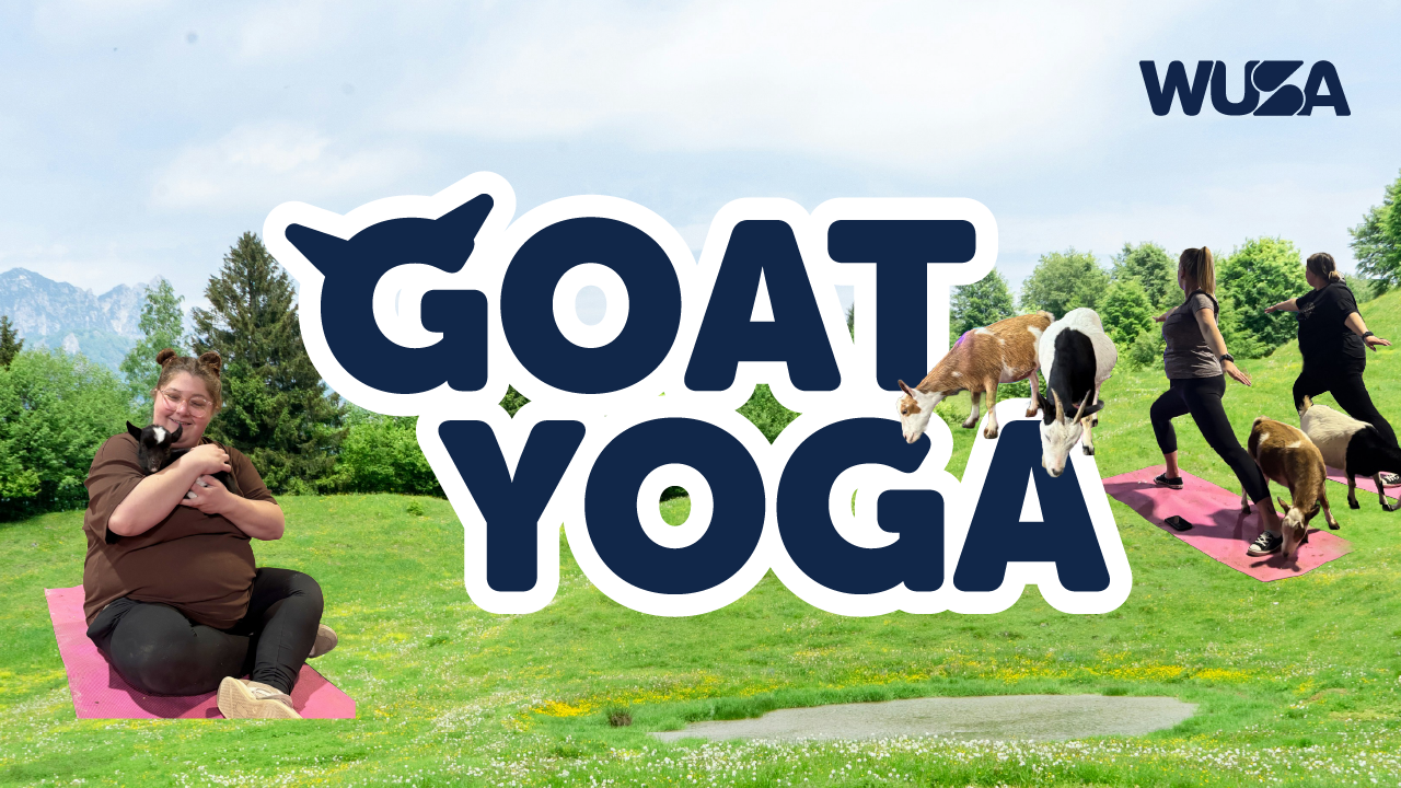 People doing yoga on mats outdoors with goats; text reads "GOAT YOGA" and "WUSA" in the top right corner.